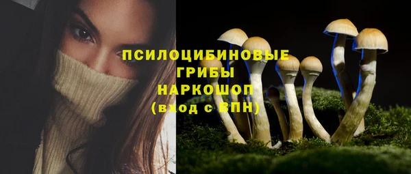 синтетический гашиш Богородск