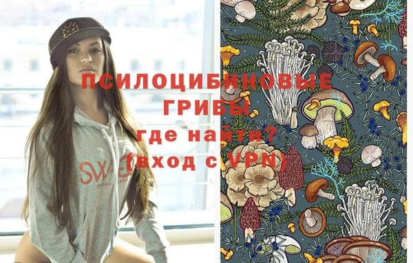 эйфоретик Богданович