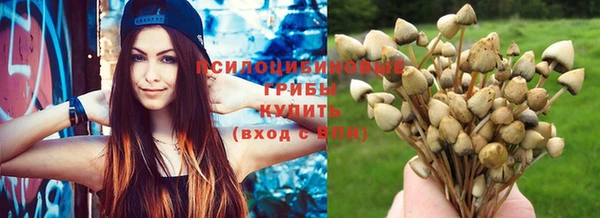 эйфоретик Богданович